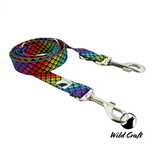 Smycz przepinana RAINBOW PAWS