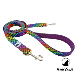 Smycz przepinana SMART 2,5 m RAINBOW PAWS