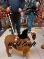 buldog angielski zestaw cube.jpg