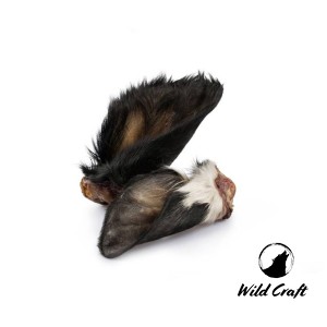 Ucho Wołowe z Futrem