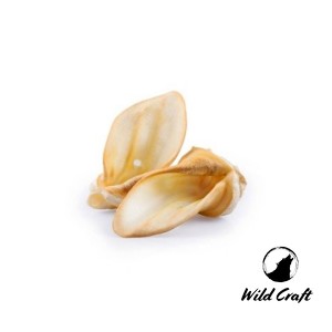 Ucho Wołowe Białe Duże