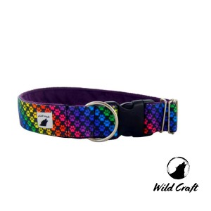 Obroża MINI zatrzask RAINBOW PAWS