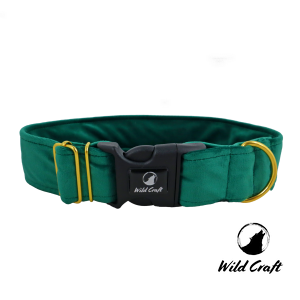 Obroża Welurowa Zielona L