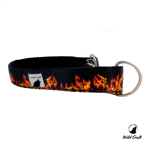 polzacisk fire 3.png