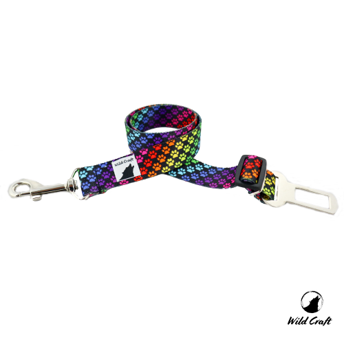 auto rainbow paws 2.png