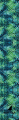 jungle.png