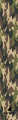 moro.png
