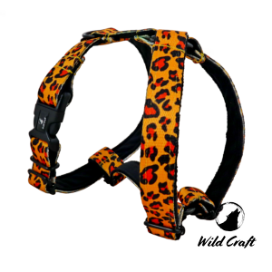 Szelki Guardy PANTERKA dla BULDOGÓW