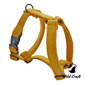 Szelki Guardy Welurowe Miodowe XS dla BULDOGÓW