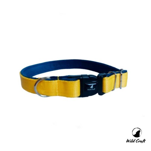 obroża żółta 2.jpg