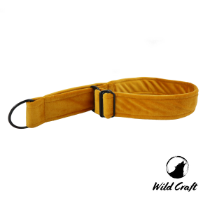 Obroża Półzaciskowa Welurowa Miodowa Chart