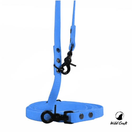 hexa błękitna przepinana.png