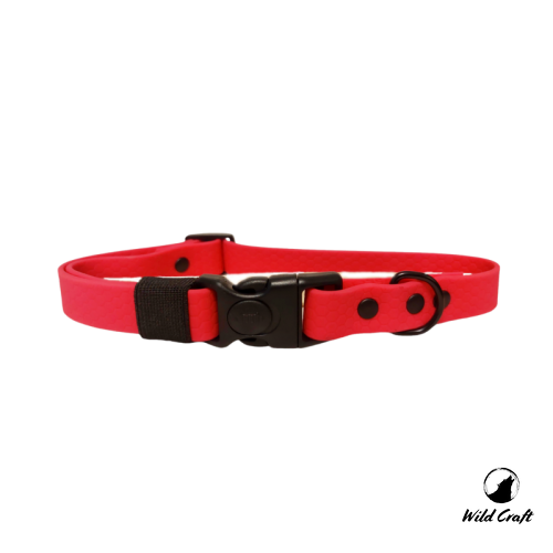 obroża hexa maganta.png