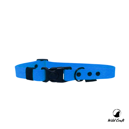 obroża hexa błekitna.png