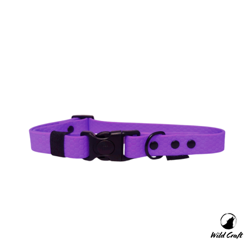 obroża hexa fiolet.png