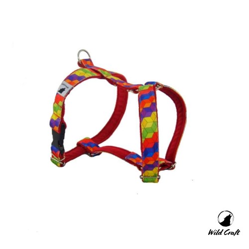 cube-gualrd-d.jpg