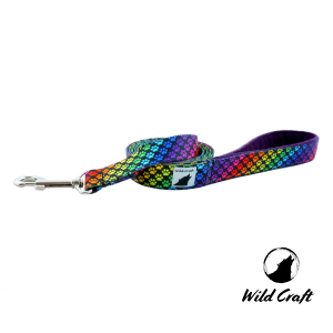 Smycz klasyczna 1,5m RAINBOW PAWS