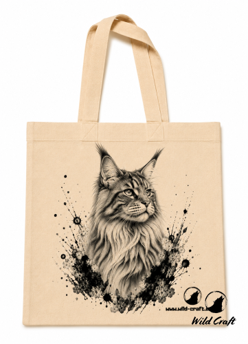 KOT MAINE COON.png