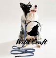 pies hexa.png
